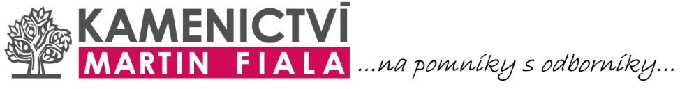 Primary Raster logo